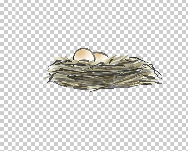 Chicken Egg PNG, Clipart, Animals, Ant Nest, Bird Nest, Bird Nest Vector, Birds Nest Free PNG Download