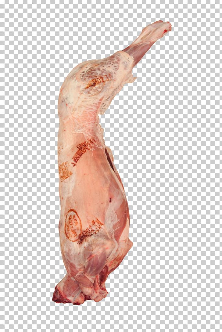 Lamb And Mutton Mandi Sheep Meat Goat PNG, Clipart, Animals, Animal Source Foods, Chicken Meat, Corned Beef, Flesh Free PNG Download
