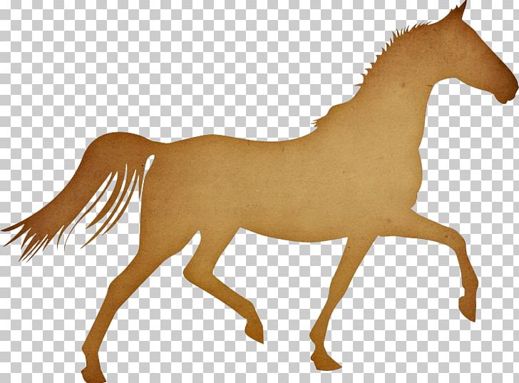 Pony Arabian Horse Trot Cap Equestrian PNG, Clipart, Anim, Arabian Horse, Bridle, Bronco, Cap Free PNG Download