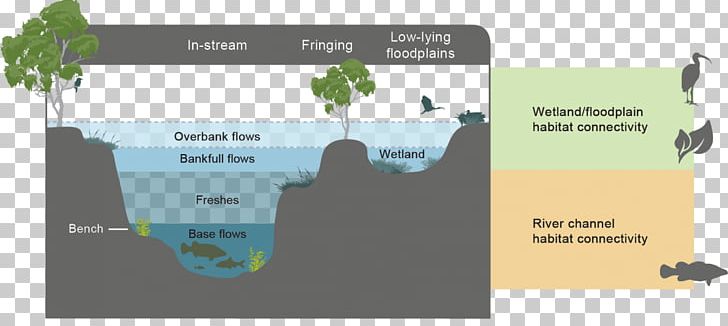 River Cross Section Drainage Basin Stream Murray–Darling Basin PNG, Clipart, Brand, Channel, Communication, Cross Section, Drainage Basin Free PNG Download