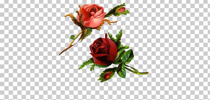 Rose Flower Desktop PNG, Clipart, Artificial Flower, Blog, Cicek Gul, Cut Flowers, Desktop Wallpaper Free PNG Download