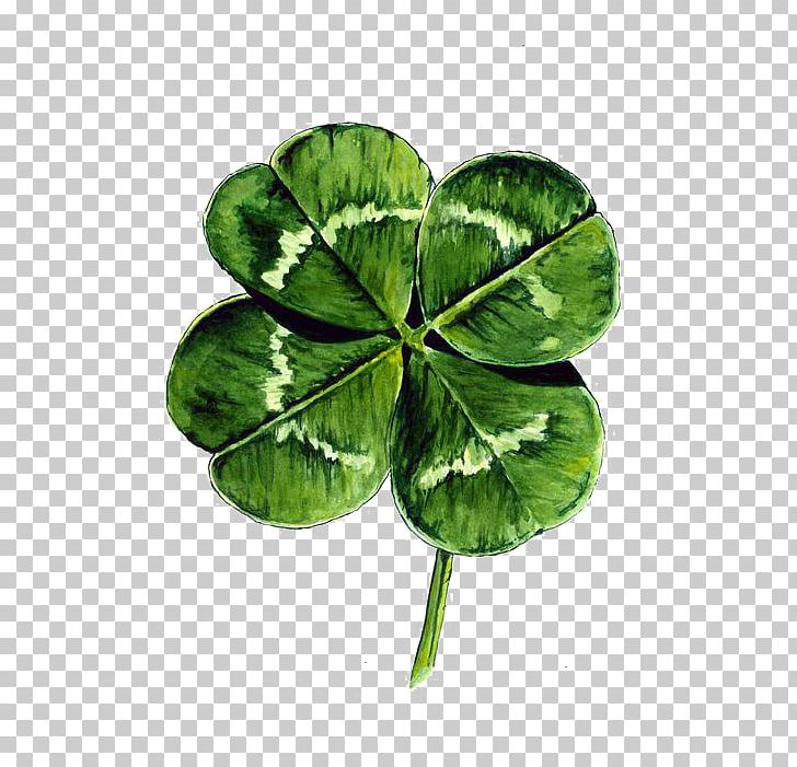 White Clover Four-leaf Clover Watercolor Painting Drawing PNG, Clipart, 4 Leaf Clover, Art, Canvas Print, Clover, Clover Border Free PNG Download