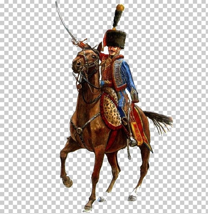 Napoleonic Wars Polish Hussars Regiment Cavalry Military PNG, Clipart, Bridle, Cavalry, Cuirassier, Equestrianism, Historical Reenactment Free PNG Download