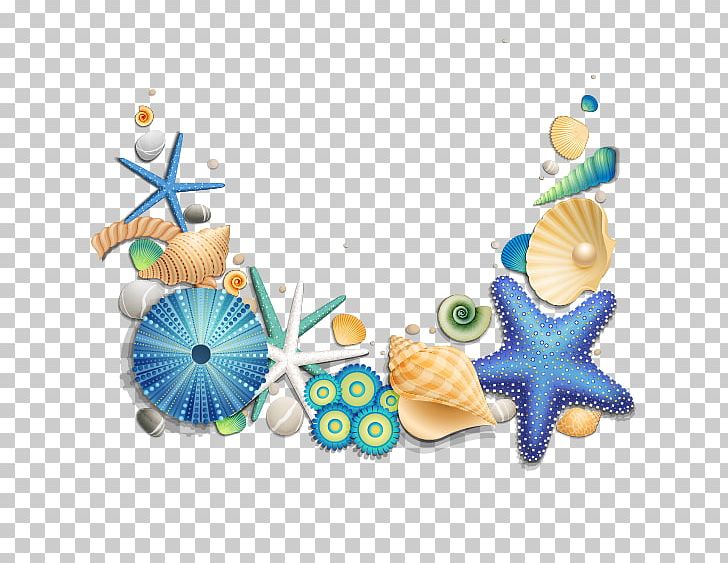 Seashell PNG, Clipart, Animals, Blue, Blue Abstract, Blue Background, Blue Eyes Free PNG Download