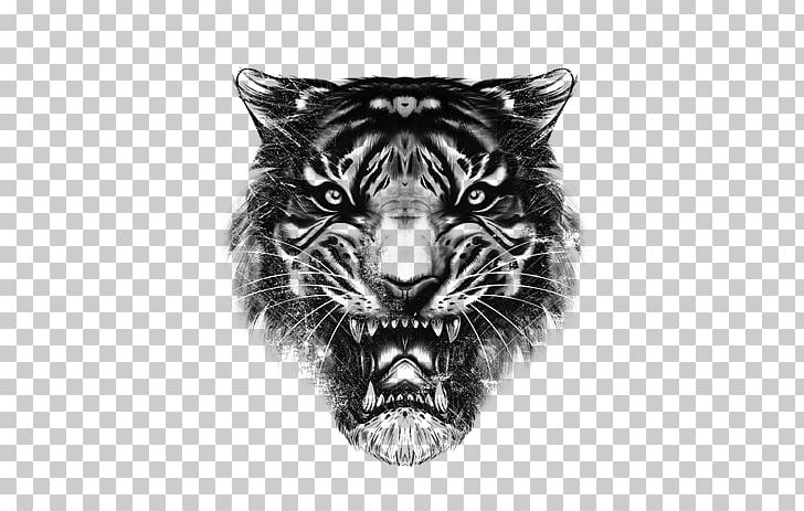 Drawing Tiger Roar Lion PNG, Clipart,  Free PNG Download