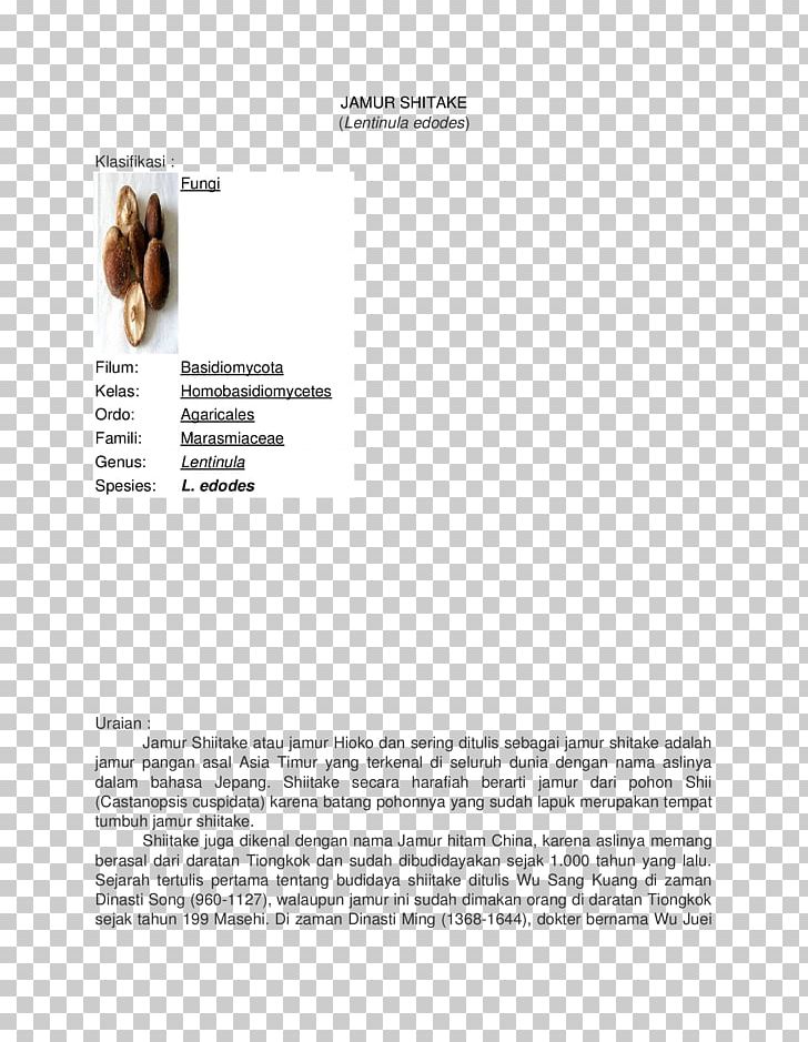 Brand Font PNG, Clipart, Art, Brand, Document, Docx, Fungus Free PNG Download