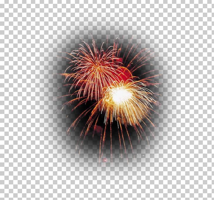 Independence Day Branson Glens Falls Skiatook Fireworks PNG, Clipart, Branson, Company, Computer Wallpaper, Explosive Material, Fireworks Free PNG Download