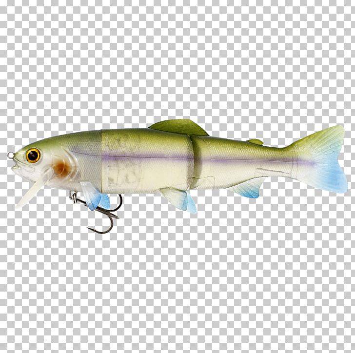 Plug Sardine Gummifisch Northern Pike Trout PNG, Clipart, Angling, Bait, Bony Fish, Cod, European Perch Free PNG Download