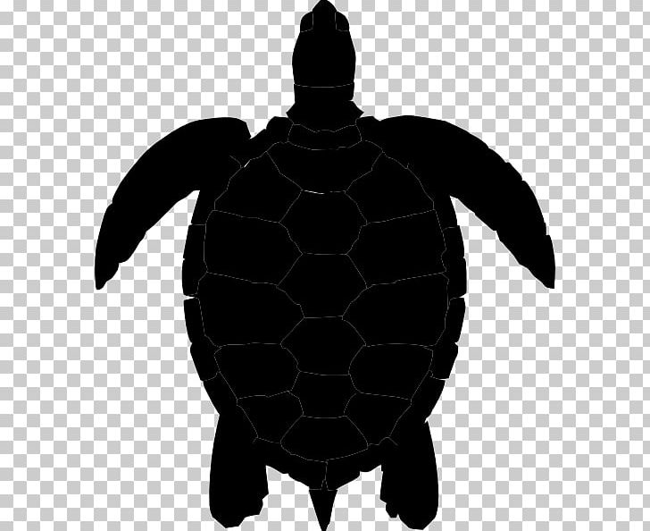 Sea Turtle Silhouette PNG, Clipart, Animal, Animals, Art, Clip Art, Drawing Free PNG Download