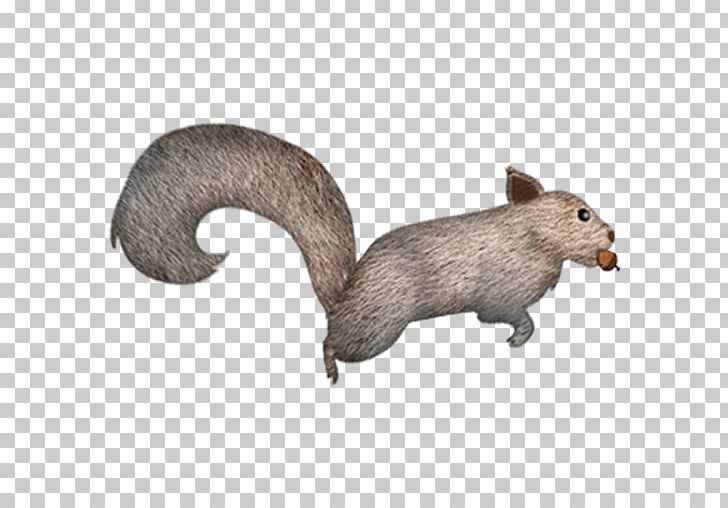 Squirrel Rat Dog Fauna Canidae PNG, Clipart, Animals, App, Canidae, Carnivoran, Dog Free PNG Download