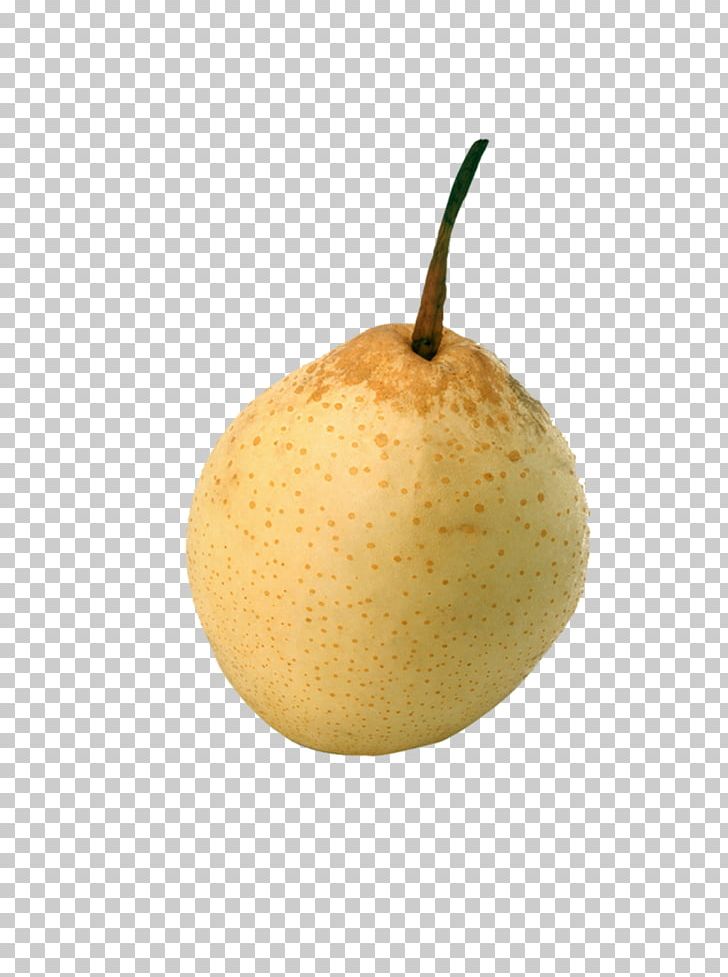 Asian Pear Pyrus Xd7 Bretschneideri PNG, Clipart, Adobe Illustrator, Agriculture, Apple, Asian Pear, Buttoned Free PNG Download
