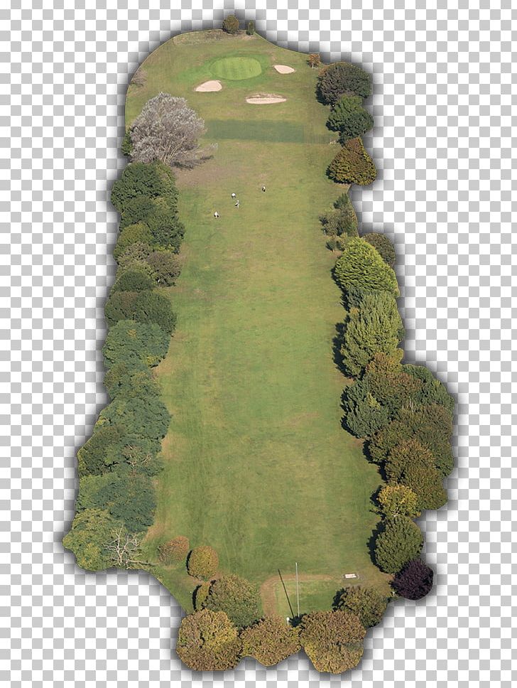 Golf Course Southsea Golf Club (Portsmouth PNG, Clipart, Golf, Golf Course, Grass, Lawn, Leaf Free PNG Download