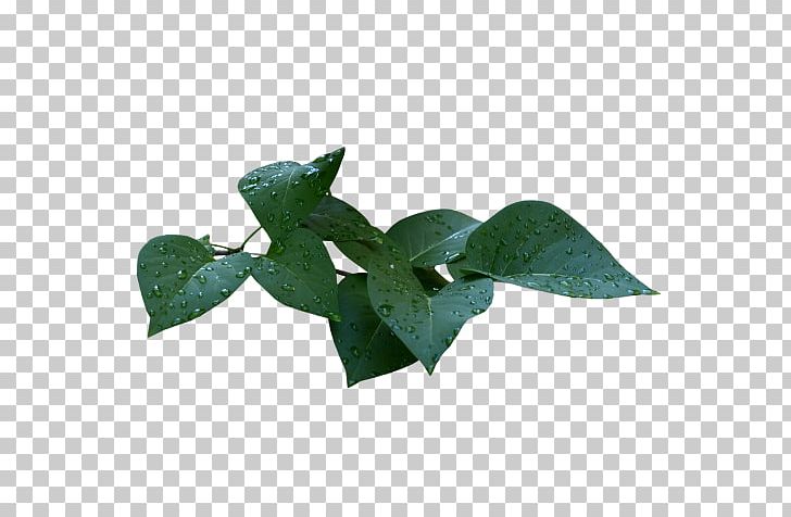 Leaf Flower Computer Icons Bud PNG, Clipart, Blogger, Bud, Computer Icons, Flower, Flowers Free PNG Download
