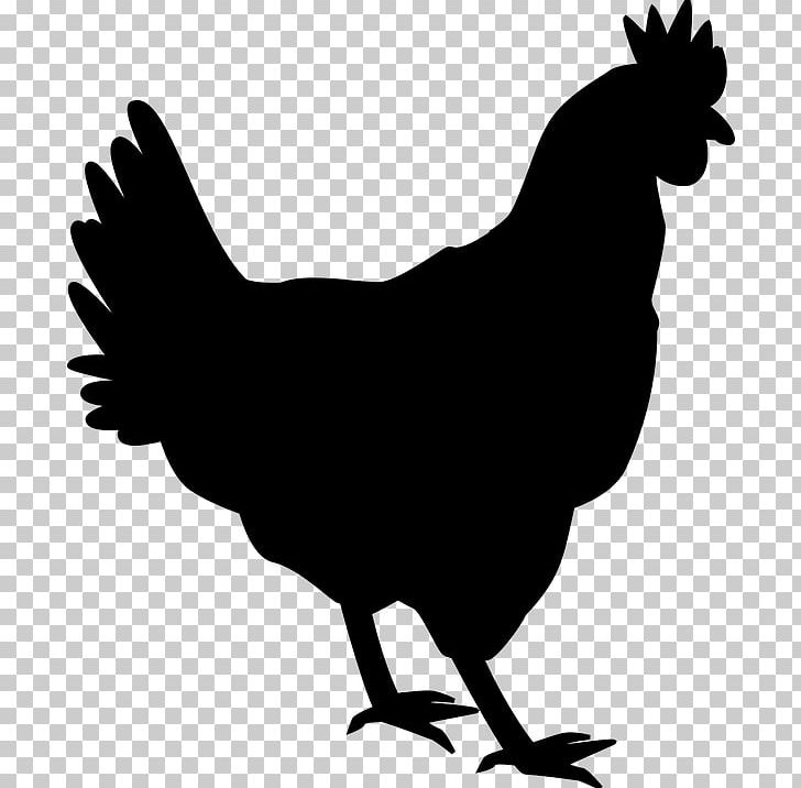 Chicken Rooster Silhouette Hen PNG, Clipart, Animals, Art, Beak, Bird, Black And White Free PNG Download