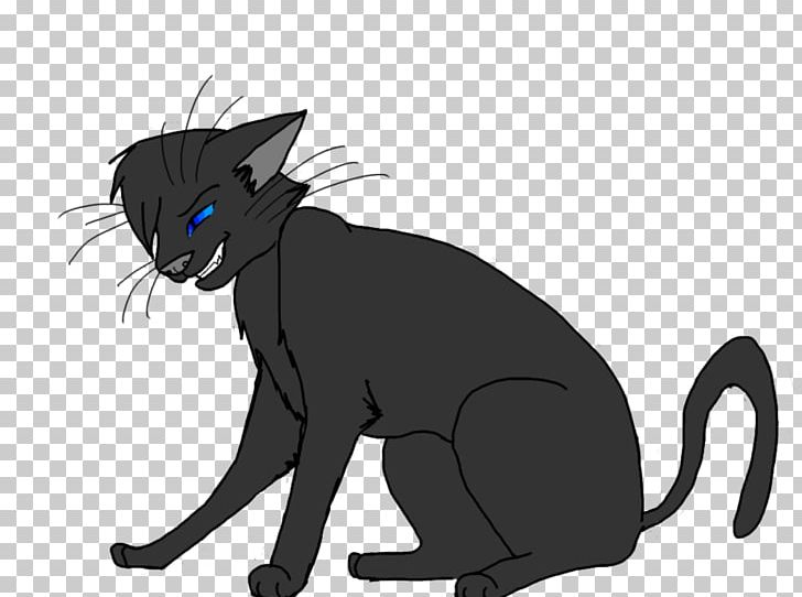 Korat Kitten Black Cat Whiskers Domestic Short-haired Cat PNG, Clipart, Animals, Big Cat, Big Cats, Black, Canidae Free PNG Download