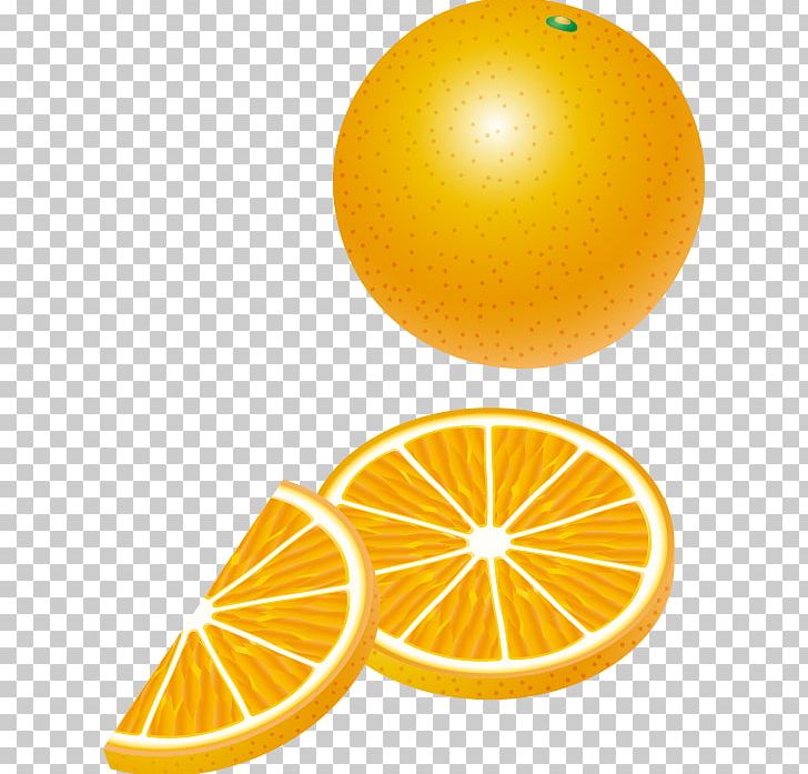 Lemon Orange Auglis PNG, Clipart, Adobe Illustrator, Citrus, Food, Fruit, Fruit Nut Free PNG Download
