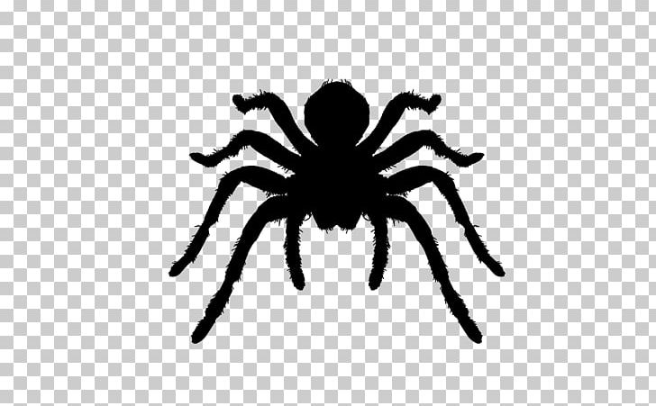 Spider Tarantula Insect Computer Icons PNG, Clipart, Arachnid, Arthropod, Black And White, Brazilian Red And White Tarantula, Brazilian Whiteknee Tarantula Free PNG Download