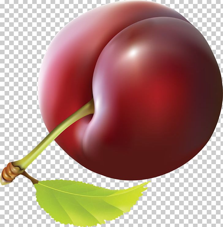 Fruit Plum PNG, Clipart, Airbrush, Cherry, Clip Art, Drawing, Encapsulated Postscript Free PNG Download