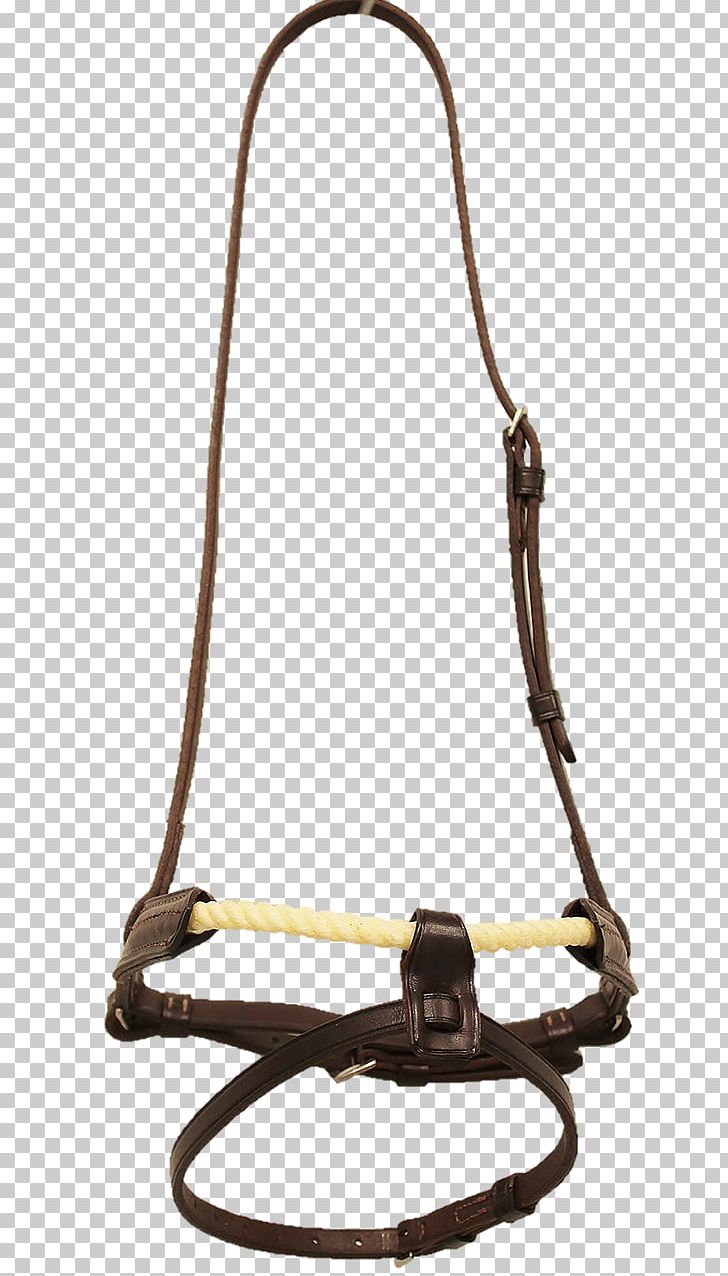 Horse Tack Noseband Longeing Cavesson Equestrian PNG, Clipart, Animals, Bag, Bridle, Curb Chain, Draw Reins And Running Reins Free PNG Download