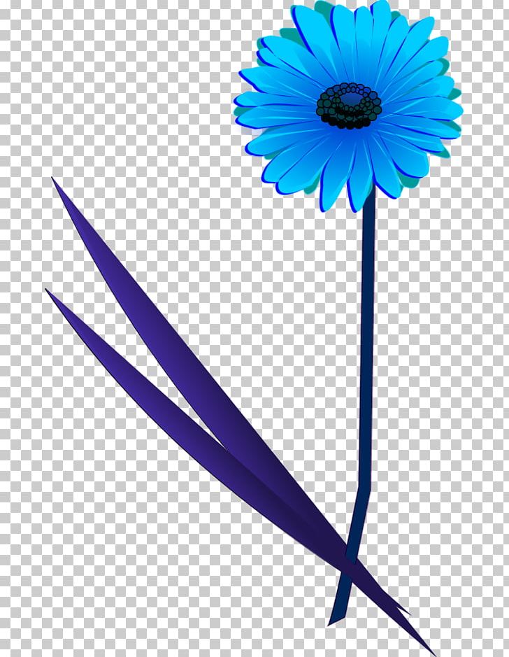 Transvaal Daisy Flower PNG, Clipart, Blue, Color, Common Daisy, Cut Flowers, Daisy Free PNG Download