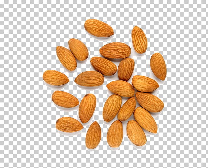 Almond Nut Fruit PNG, Clipart, Almond, Almond Milk, Almond Nut, Almond Nuts, Almond Pudding Free PNG Download