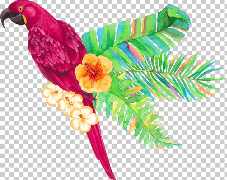 Parrot Tropics Arecaceae PNG, Clipart, Animals, Beak, Bird, Branch, Download Free PNG Download