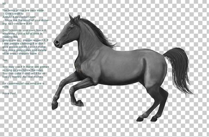 Mane Mustang Appaloosa Pony Stallion PNG, Clipart, Appaloosa, Black And White, Breed, Bridle, Charlie The Unicorn Free PNG Download