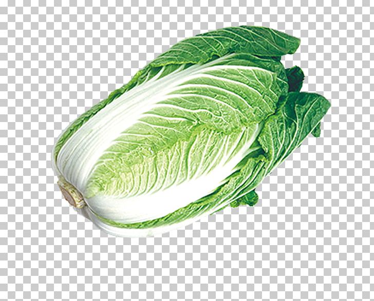 Chinese Cabbage Napa Cabbage Umami Vegetable PNG, Clipart, Cabbage, Cauliflower, Chinese, Chinese Lantern, Chinese Style Free PNG Download