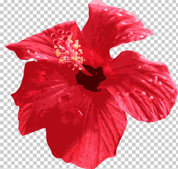 Flower Computer Icons PNG, Clipart, Button, China Rose, Chinese Hibiscus, Computer Icons, Download Free PNG Download