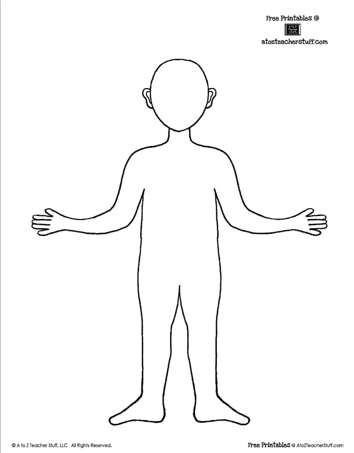 Human Body Template Drawing Face PNG, Clipart, Anatomy, Angle, Arm, Art, Artwork Free PNG Download