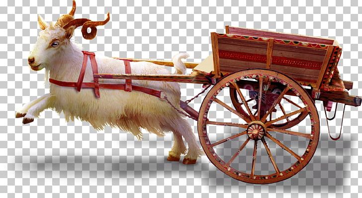 Sheep–goat Hybrid Sheep–goat Hybrid PNG, Clipart, Animal, Animals, Carriage, Cart, Cattle Free PNG Download