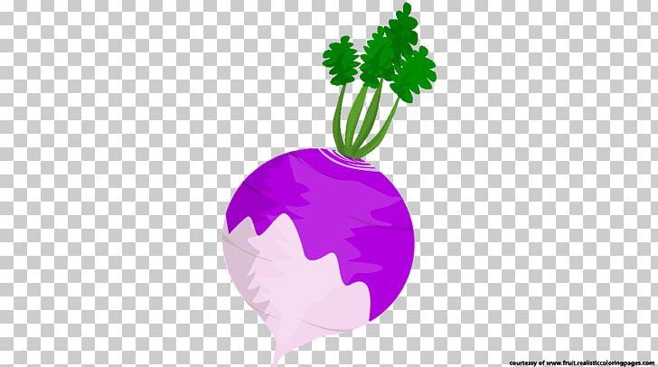 The Turnip Beetroot Food TeachersPayTeachers PNG, Clipart, Beetroot, Boiling, Computer Wallpaper, Education, Education Science Free PNG Download