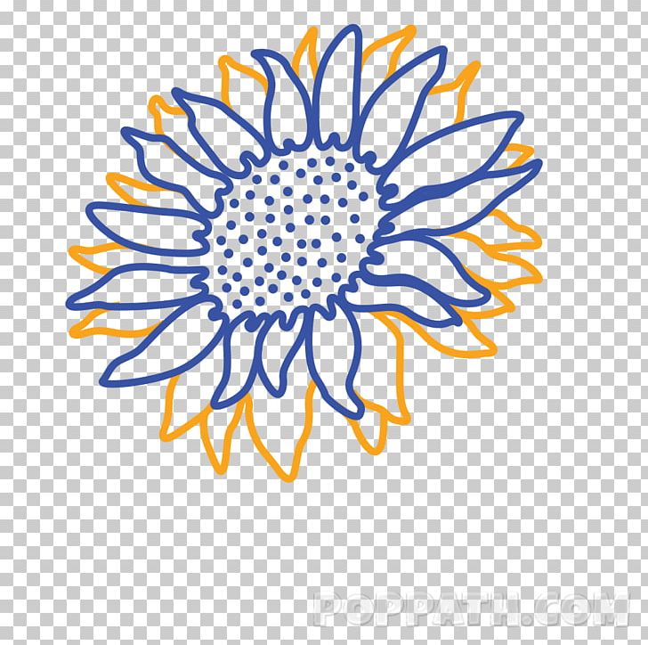 Common Sunflower Drawing Cut Flowers PNG, Clipart, Artwork, Chrysanthemum, Chrysanths, Circle, Common Sunflower Free PNG Download