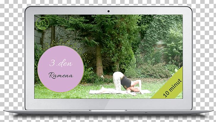 Video Yoga Multimedia Television Exercise PNG, Clipart, Advertising, Brand, Display Advertising, Exercise, Grass Free PNG Download