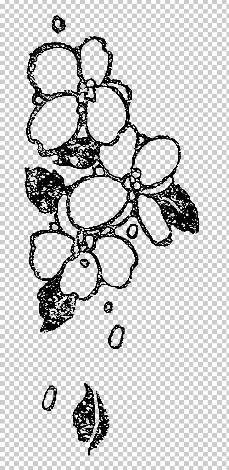 Visual Arts Drawing PNG, Clipart, Area, Art, Black And White, Body Jewelry, Branch Free PNG Download