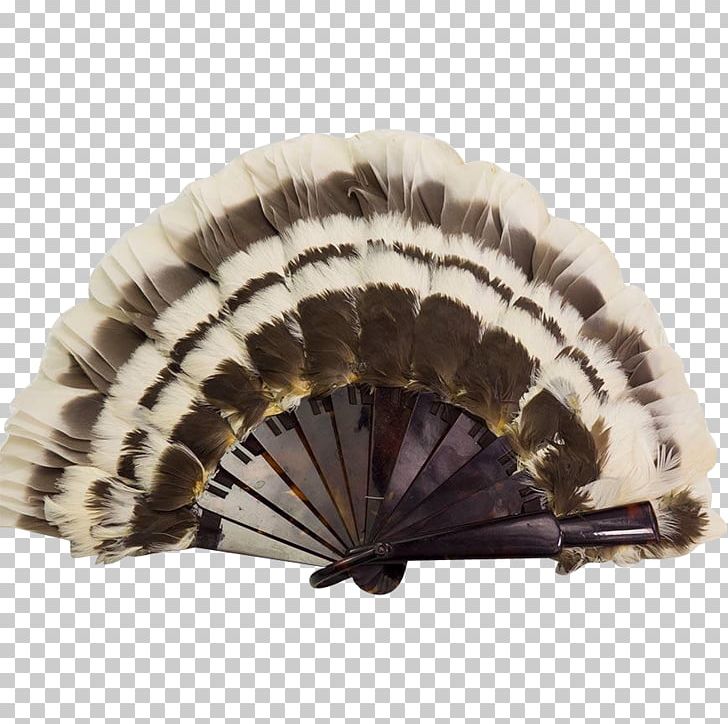Celluloid Common Ostrich Vintage Clothing Hand Fan Feather PNG, Clipart, 1950s, Antique Feather Amp Ink, Beret, Celluloid, Clothing Accessories Free PNG Download