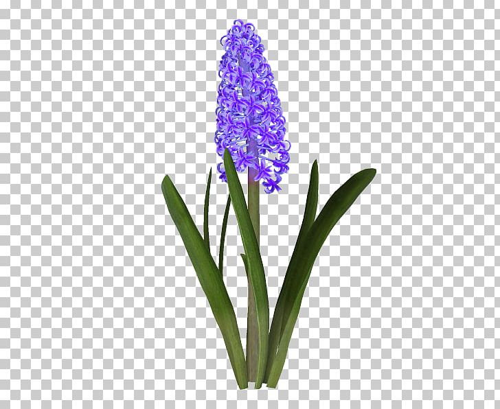 Hyacinth Cut Flowers Microsoft Paint PNG, Clipart, Animation, Cut Flowers, Flower, Flowering Plant, Herbaceous Plant Free PNG Download