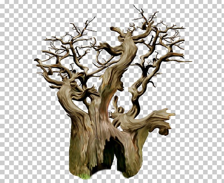 Trunk Tree Stump Branch PNG, Clipart, Branch, Drawing, Houseplant, Leaf, Lumberjack Free PNG Download