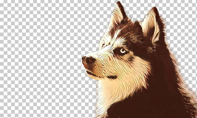 Dog Siberian Husky Snout Canadian Eskimo Dog Sakhalin Husky PNG, Clipart, Canadian Eskimo Dog, Dog, Sakhalin Husky, Siberian Husky, Snout Free PNG Download