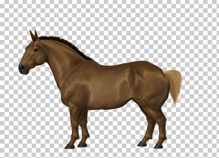 Arabian Horse Mane Mustang Stallion Mare PNG, Clipart, Arabian Horse, Bay, Breyer Animal Creations, Bridle, Foal Free PNG Download