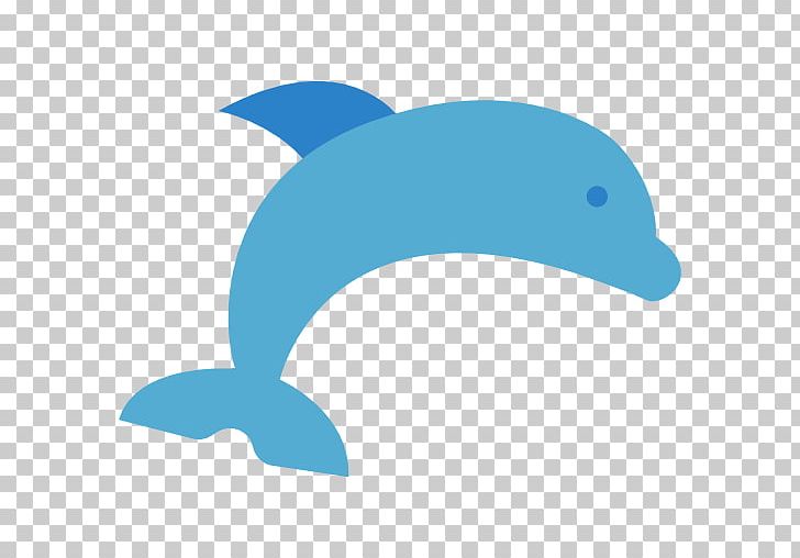 Common Bottlenose Dolphin Tucuxi Computer Icons PNG, Clipart, Animals, Azure, Beak, Blog, Blue Free PNG Download