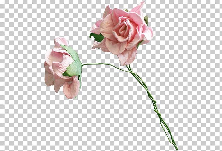 Garden Roses Floral Design Flower Centifolia Roses PNG, Clipart, Artificial Flower, Bud, Centifolia Roses, Cut Flowers, Drawing Free PNG Download