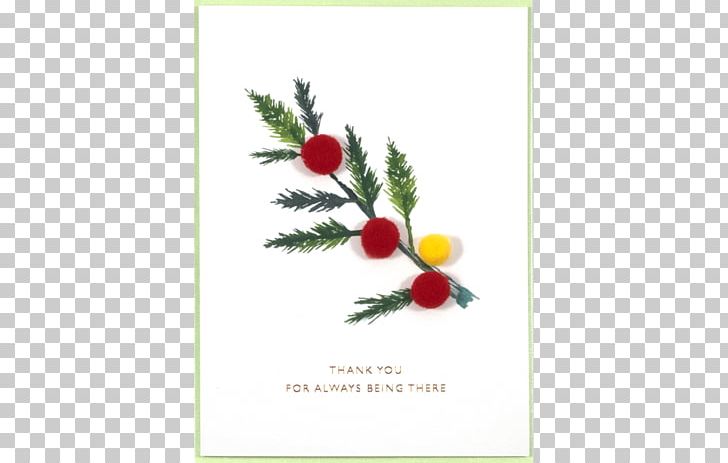 Greeting & Note Cards Christmas Ornament Floral Design PNG, Clipart, Aquifoliaceae, Art, Christmas, Christmas Ornament, Clove Free PNG Download