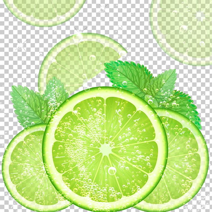Mojito Cocktail Lemon Lime PNG, Clipart, Background Green, Citric Acid, Citron, Citrus, Cool Free PNG Download