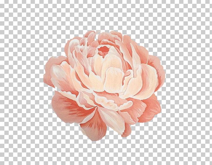 Peony Floral Design Painting Work Of Art PNG, Clipart, Artificial Flower, Artists Book, Art Museum, Artwork, Cut Flowers Free PNG Download