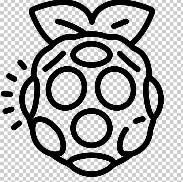 Raspberry Pi Computer Icons Raspbian PNG, Clipart, Bbc Micro, Black And White, Black Raspberry, Button, Circle Free PNG Download