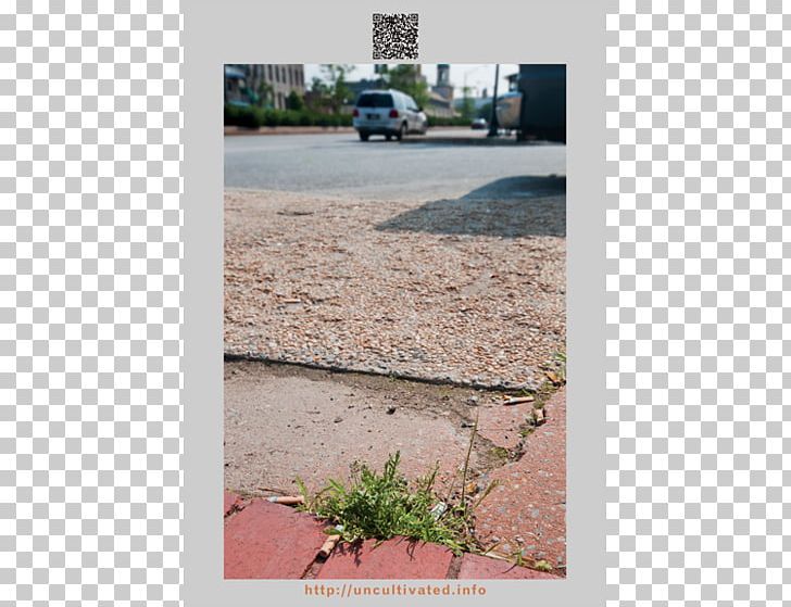 ArtPrize Artist Sidewalk Photography PNG, Clipart, Art, Artist, Artprize, Asphalt, Bus Shelter Free PNG Download