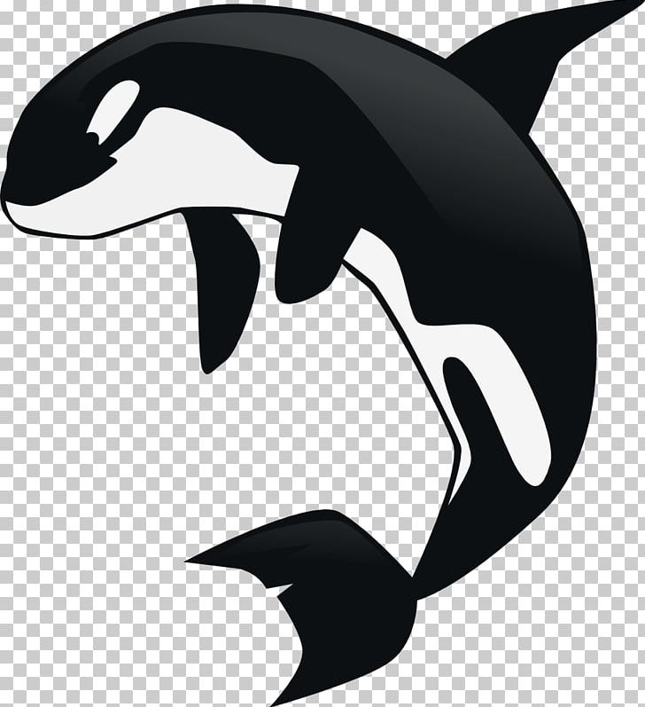 Killer Whale PNG, Clipart, Animals, Artwork, Beak, Black, Black And White Free PNG Download