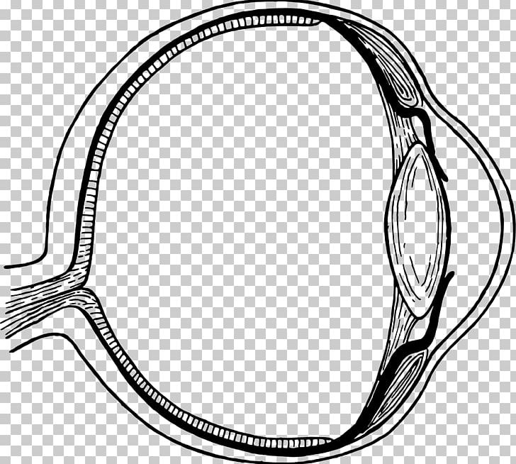 Line Art Eye Drawing PNG, Clipart, Artwork, Black And White, Body Jewelry, Circle, Computer Icons Free PNG Download