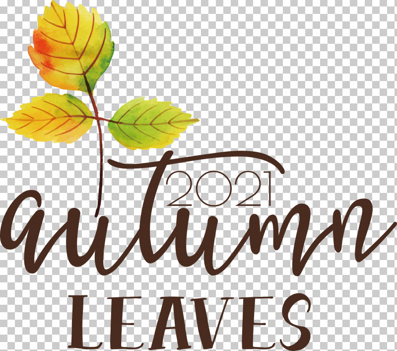 Autumn Leaves Autumn Fall PNG, Clipart, Autumn, Autumn Leaves, Biology, Fall, Flower Free PNG Download